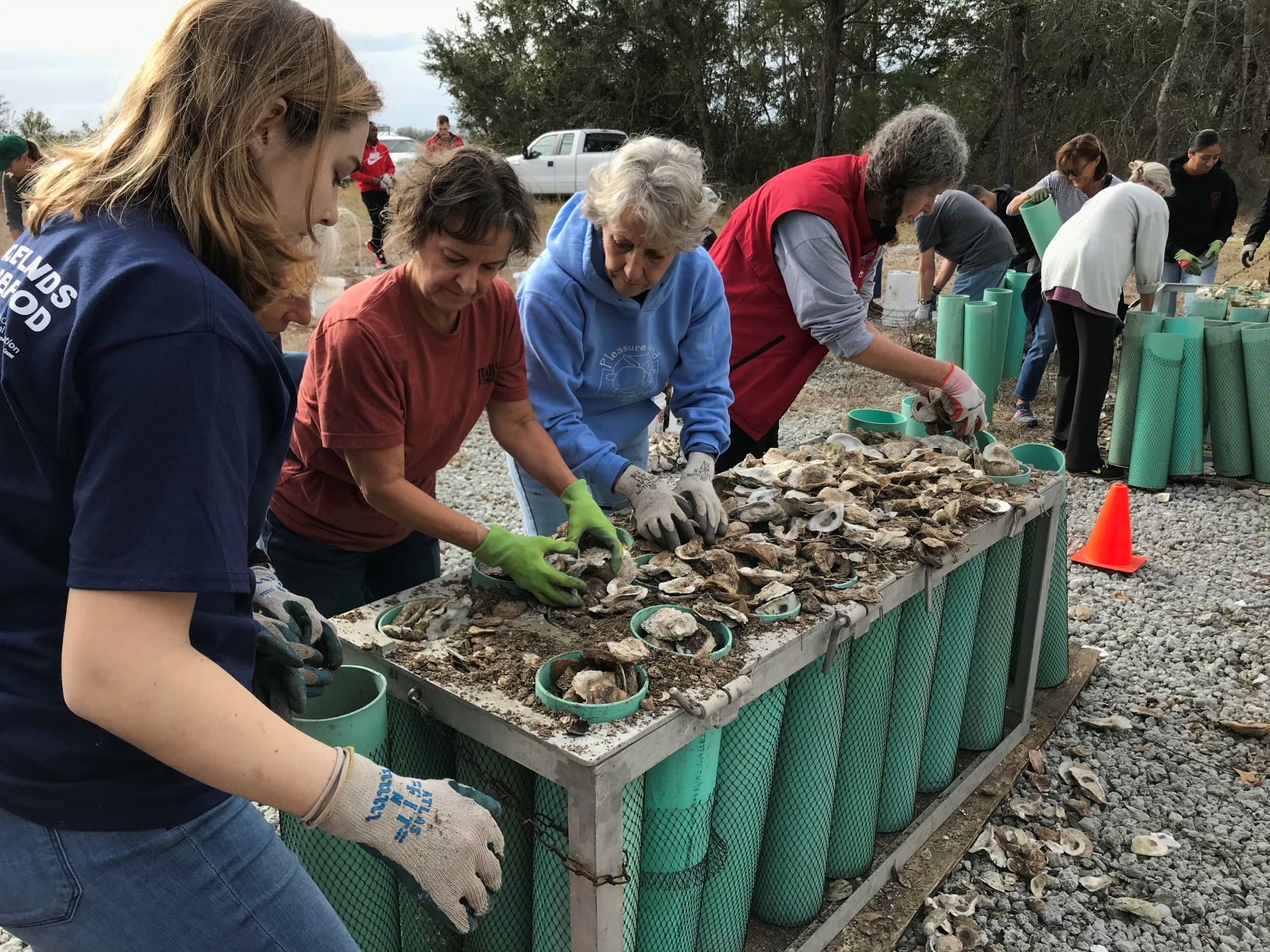 SE oyster bagging new web